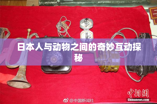 日本人与动物之间的奇妙互动探秘