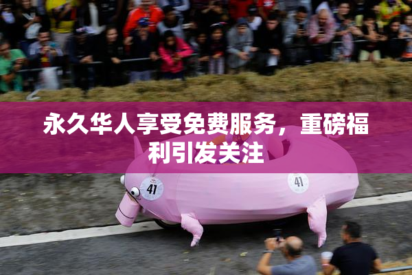 永久华人享受免费服务，重磅福利引发关注
