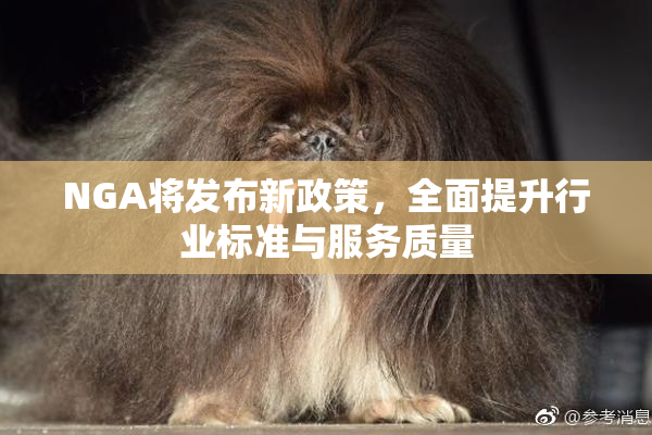 NGA将发布新政策，全面提升行业标准与服务质量