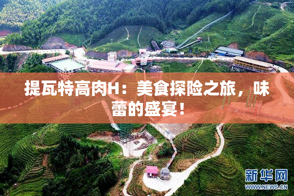 提瓦特高肉H：美食探险之旅，味蕾的盛宴！