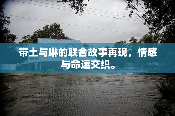 带土与琳的联合故事再现，情感与命运交织。
