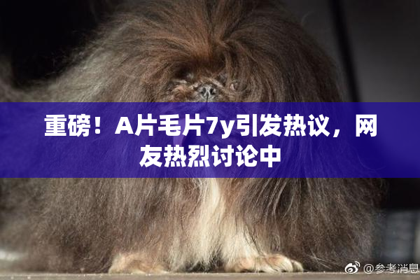 重磅！A片毛片7y引发热议，网友热烈讨论中