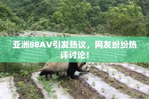 亚洲88AV引发热议，网友纷纷热评讨论！