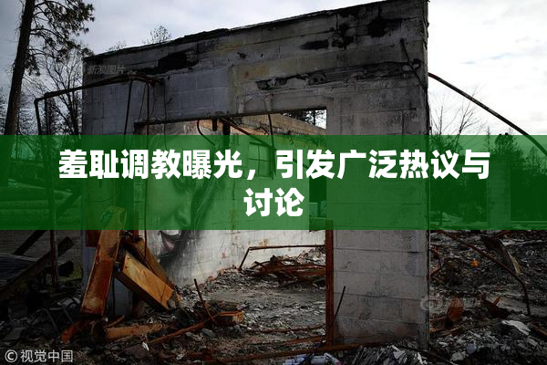 羞耻调教曝光，引发广泛热议与讨论