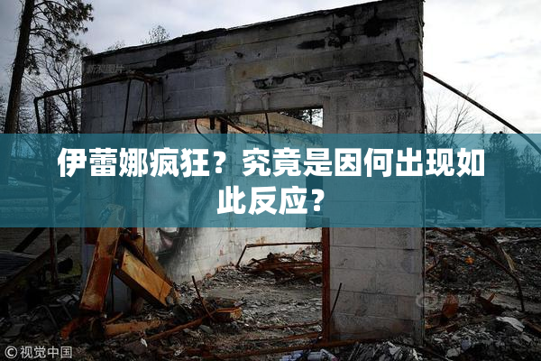 伊蕾娜疯狂？究竟是因何出现如此反应？