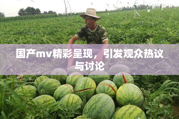 国产mv精彩呈现，引发观众热议与讨论