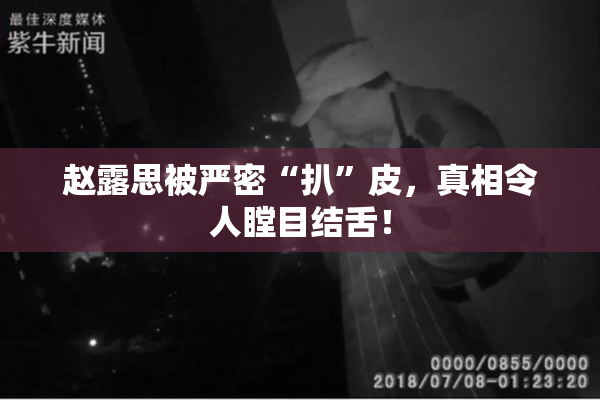 赵露思被严密“扒”皮，真相令人瞠目结舌！