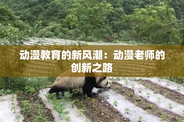动漫教育的新风潮：动漫老师的创新之路