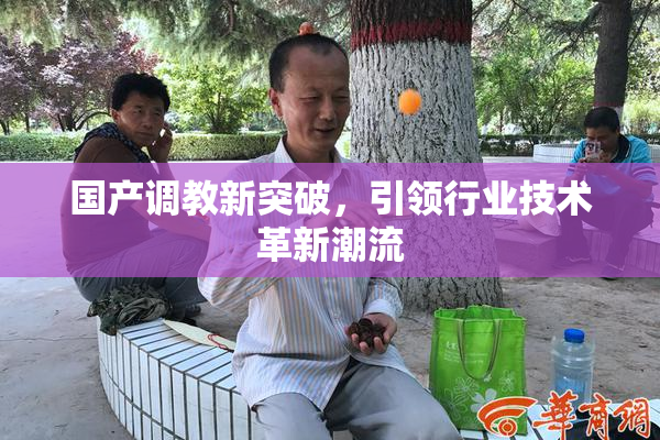 国产调教新突破，引领行业技术革新潮流