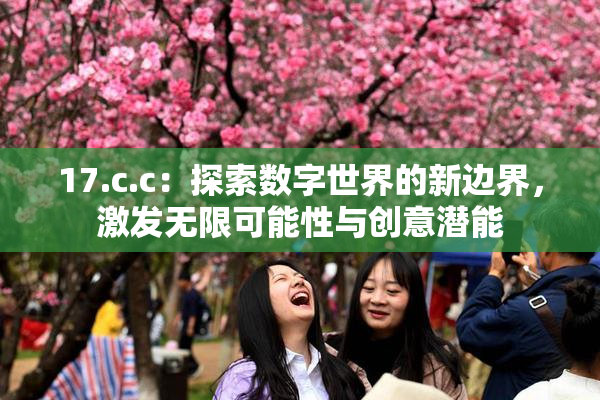 17.c.c：探索数字世界的新边界，激发无限可能性与创意潜能