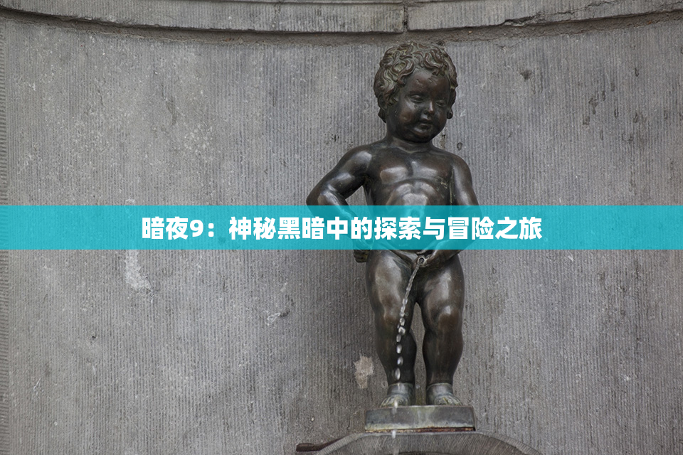 暗夜9：神秘黑暗中的探索与冒险之旅