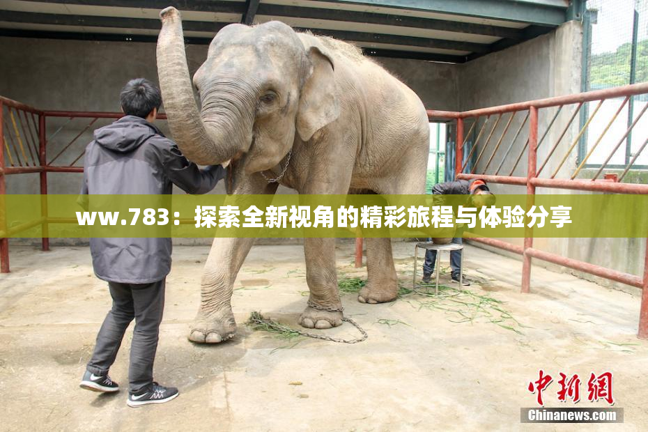 ww.783：探索全新视角的精彩旅程与体验分享