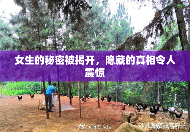 女生的秘密被揭开，隐藏的真相令人震惊