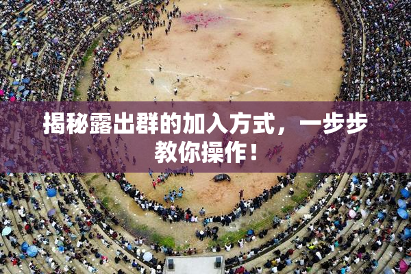 揭秘露出群的加入方式，一步步教你操作！