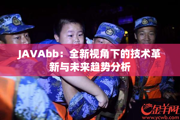 JAVAbb：全新视角下的技术革新与未来趋势分析