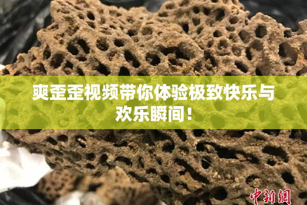 爽歪歪视频带你体验极致快乐与欢乐瞬间！