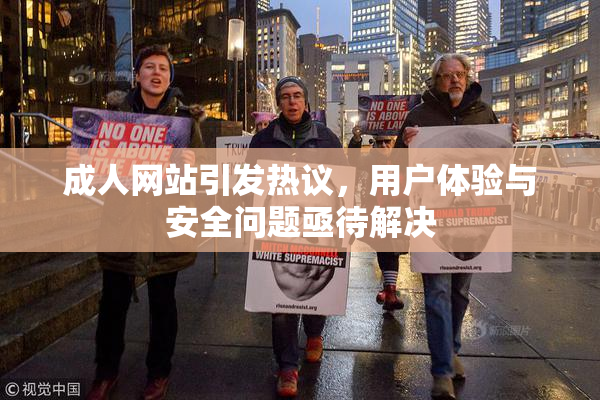 成人网站引发热议，用户体验与安全问题亟待解决