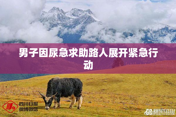 男子因尿急求助路人展开紧急行动
