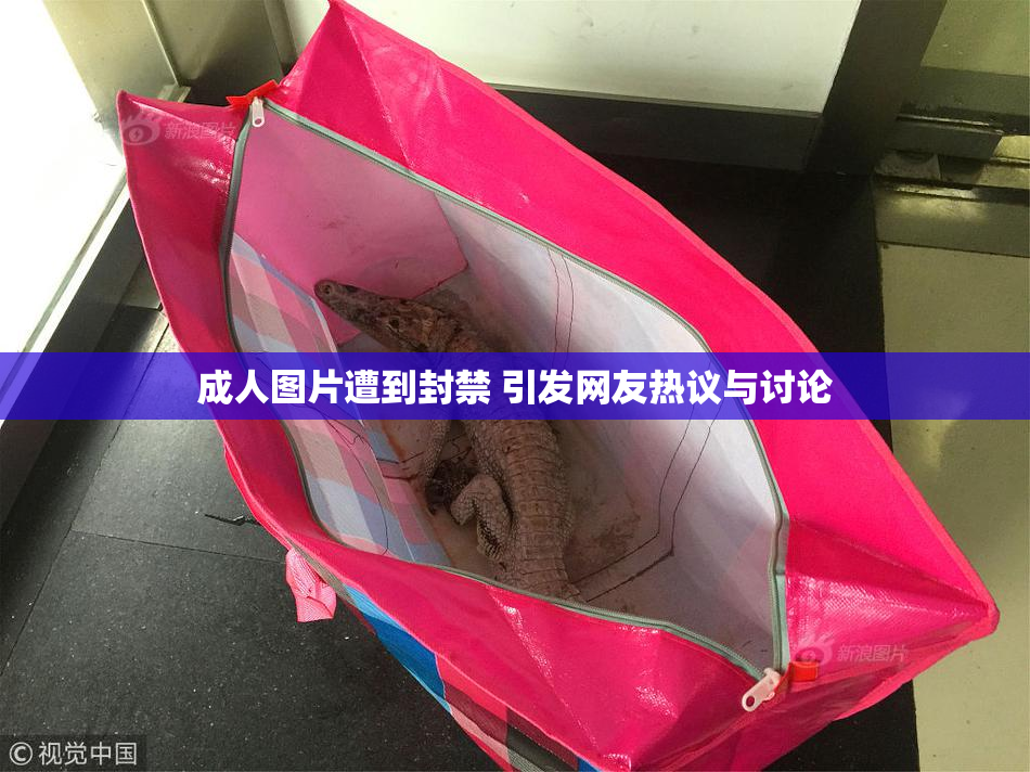成人图片遭到封禁 引发网友热议与讨论