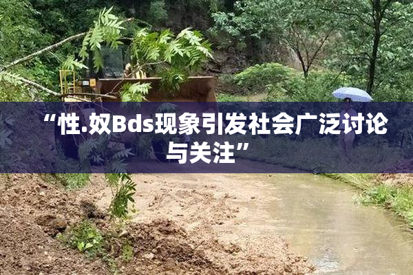 “性.奴Bds现象引发社会广泛讨论与关注”