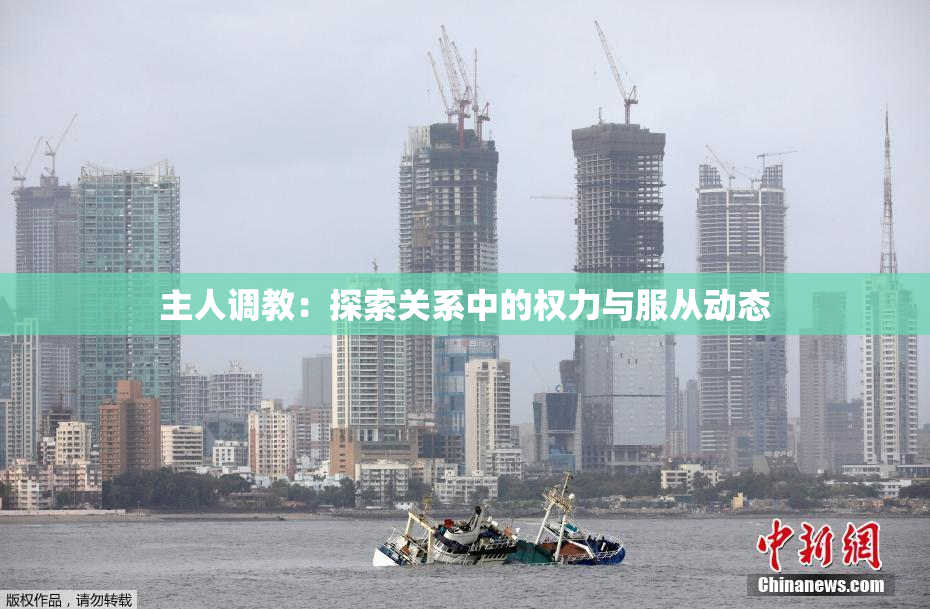 主人调教：探索关系中的权力与服从动态