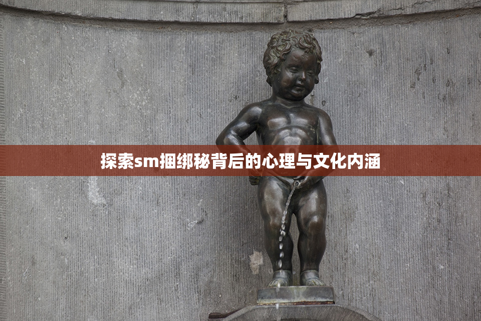 探索sm捆绑秘背后的心理与文化内涵