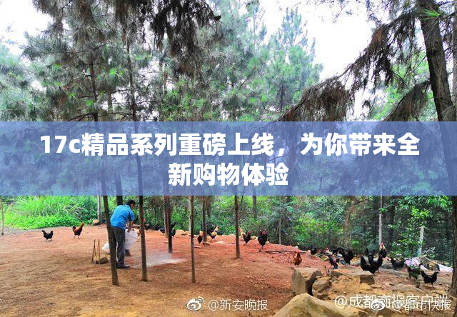 17c精品系列重磅上线，为你带来全新购物体验