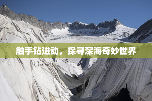 触手钻进动，探寻深海奇妙世界