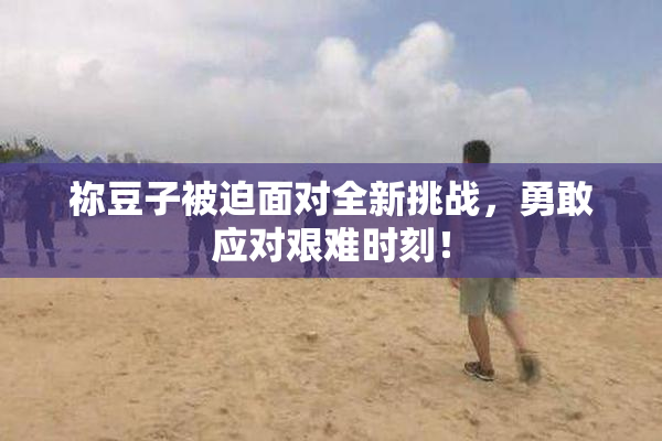 祢豆子被迫面对全新挑战，勇敢应对艰难时刻！