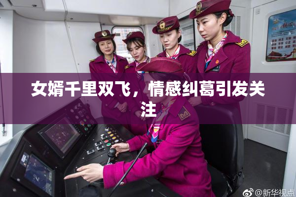 女婿千里双飞，情感纠葛引发关注