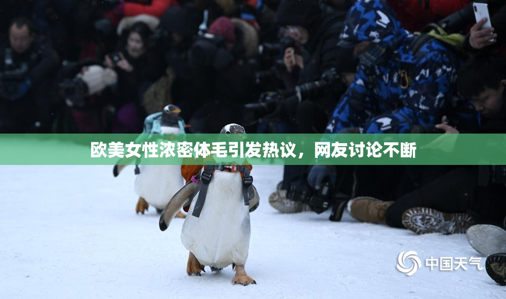 欧美女性浓密体毛引发热议，网友讨论不断