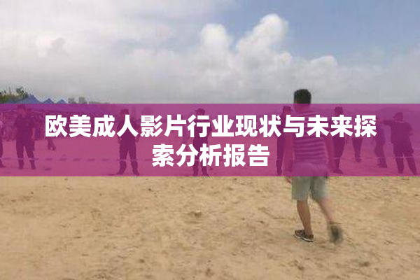欧美成人影片行业现状与未来探索分析报告