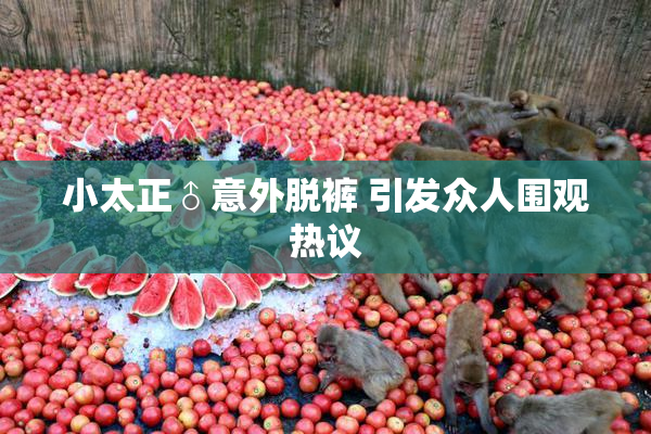 小太正♂意外脱裤 引发众人围观热议