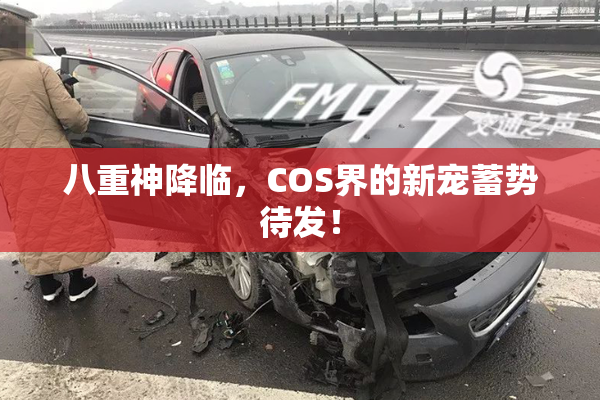 八重神降临，COS界的新宠蓄势待发！