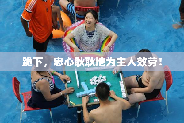 跪下，忠心耿耿地为主人效劳！