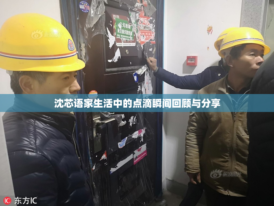 沈芯语家生活中的点滴瞬间回顾与分享