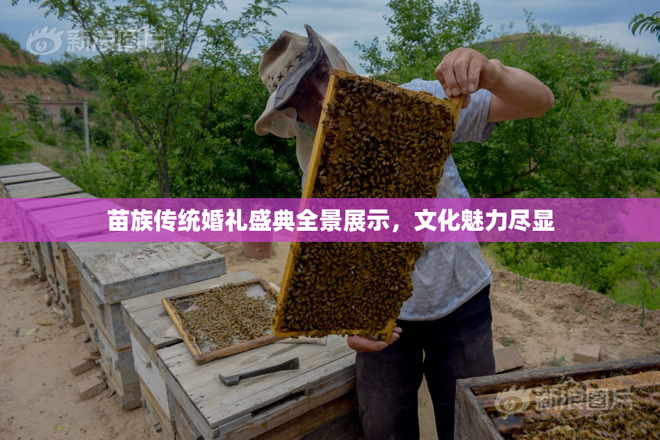 苗族传统婚礼盛典全景展示，文化魅力尽显
