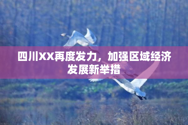 四川XX再度发力，加强区域经济发展新举措