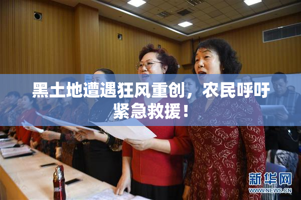 黑土地遭遇狂风重创，农民呼吁紧急救援！