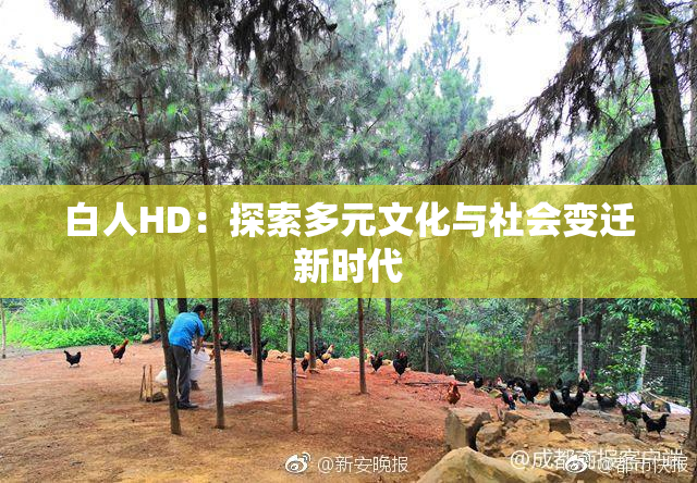 白人HD：探索多元文化与社会变迁新时代
