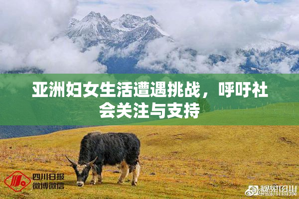 亚洲妇女生活遭遇挑战，呼吁社会关注与支持