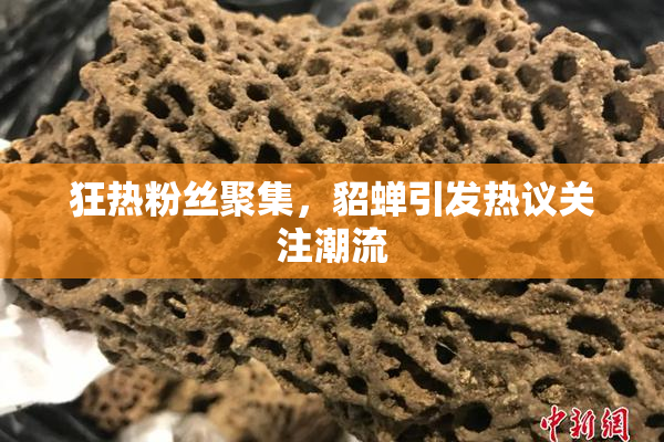 狂热粉丝聚集，貂蝉引发热议关注潮流
