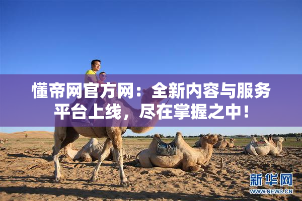 懂帝网官方网：全新内容与服务平台上线，尽在掌握之中！