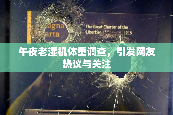 午夜老湿机体重调查，引发网友热议与关注