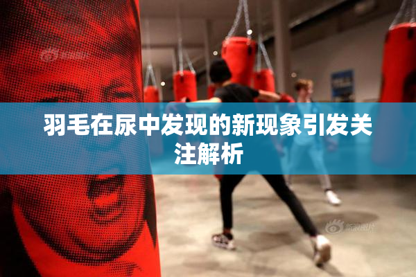 羽毛在尿中发现的新现象引发关注解析