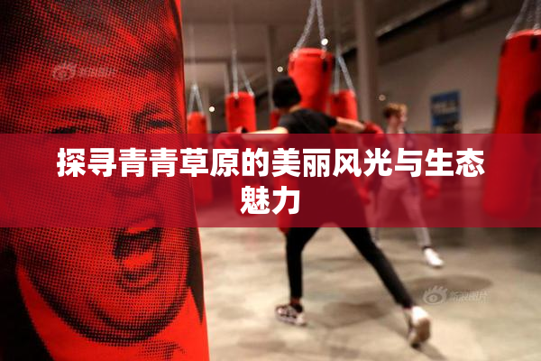 探寻青青草原的美丽风光与生态魅力