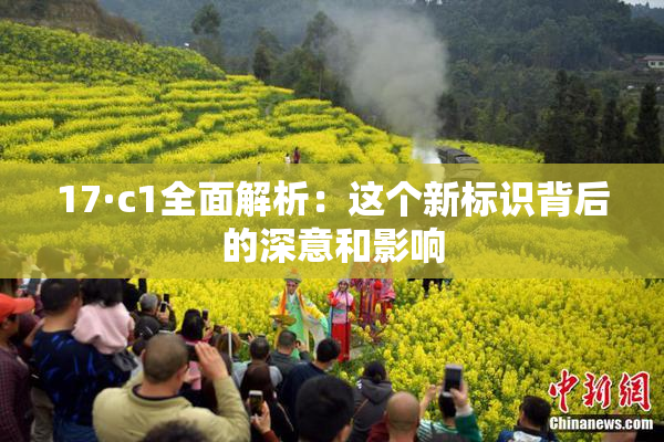 17·c1全面解析：这个新标识背后的深意和影响