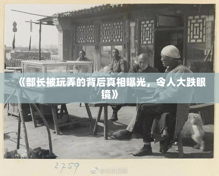 《部长被玩弄的背后真相曝光，令人大跌眼镜》