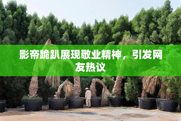 影帝跪趴展现敬业精神，引发网友热议