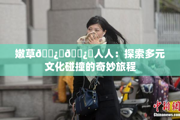 嫩草🌿‌🌿‌人人：探索多元文化碰撞的奇妙旅程